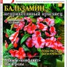 Цветок №3 2024