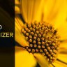 InPixio Photo Maximizer Pro